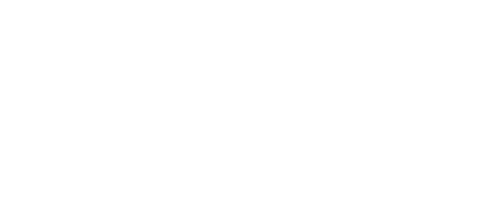 Client Icon
