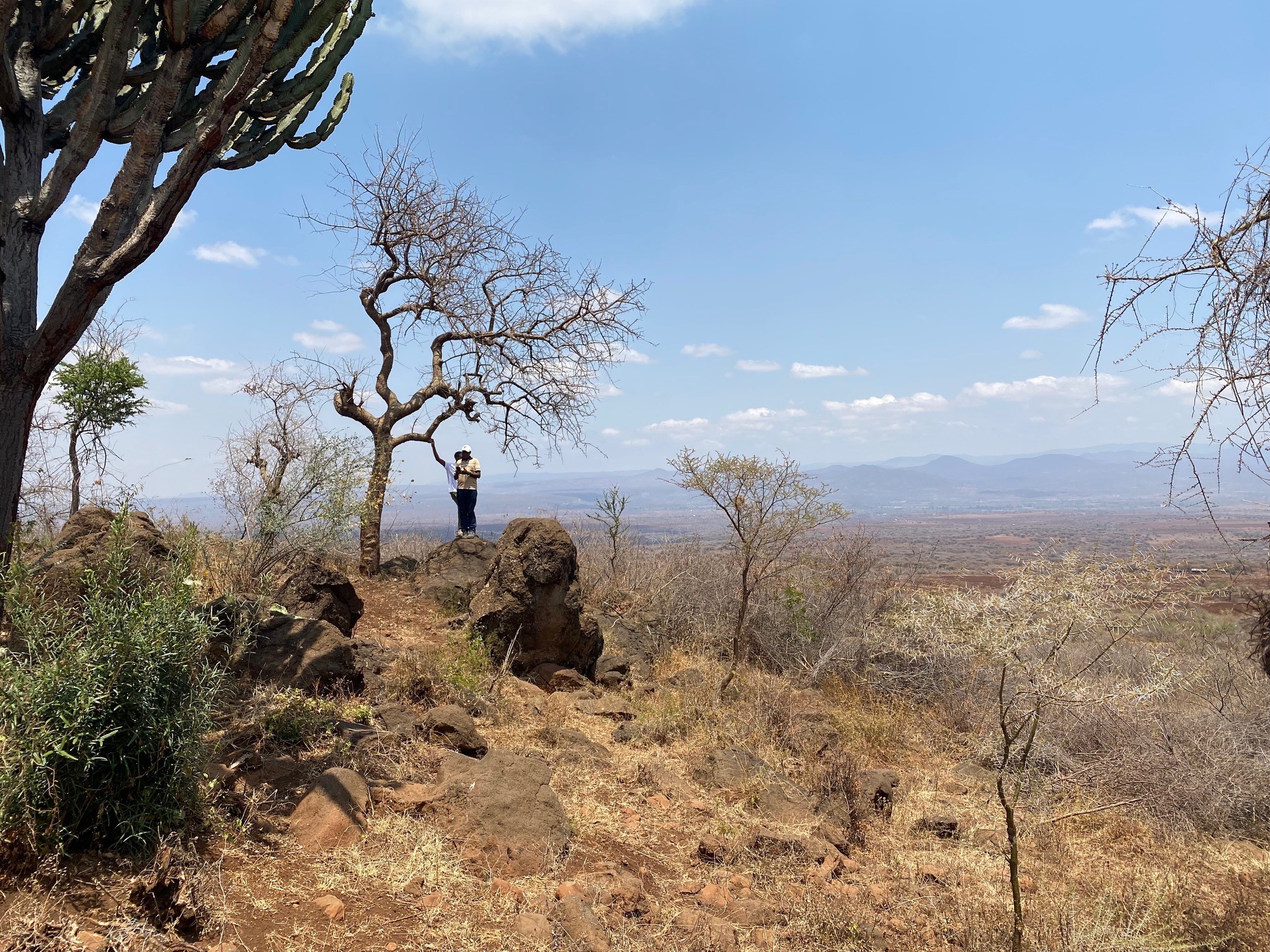 Natuur van Tanzania - Kembe Safari.