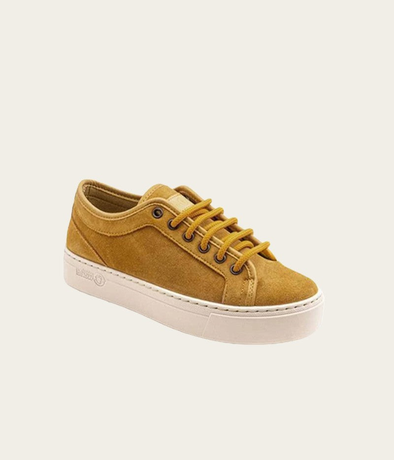 6158 / GOLDEN