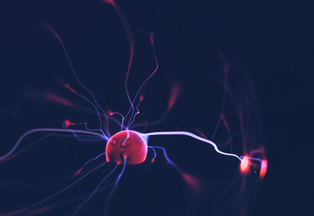 A close-up of dark, black roses with soft petals, creating an elegant and moody floral arrangement.