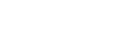 LEGACY VEIL