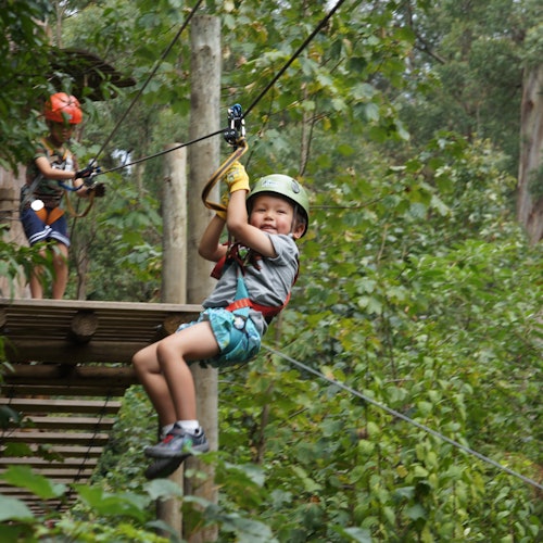 Un bambino sorridente con casco e imbracatura scivola su una zip line attraverso una foresta; un'altra persona aspetta su una piattaforma sullo sfondo.