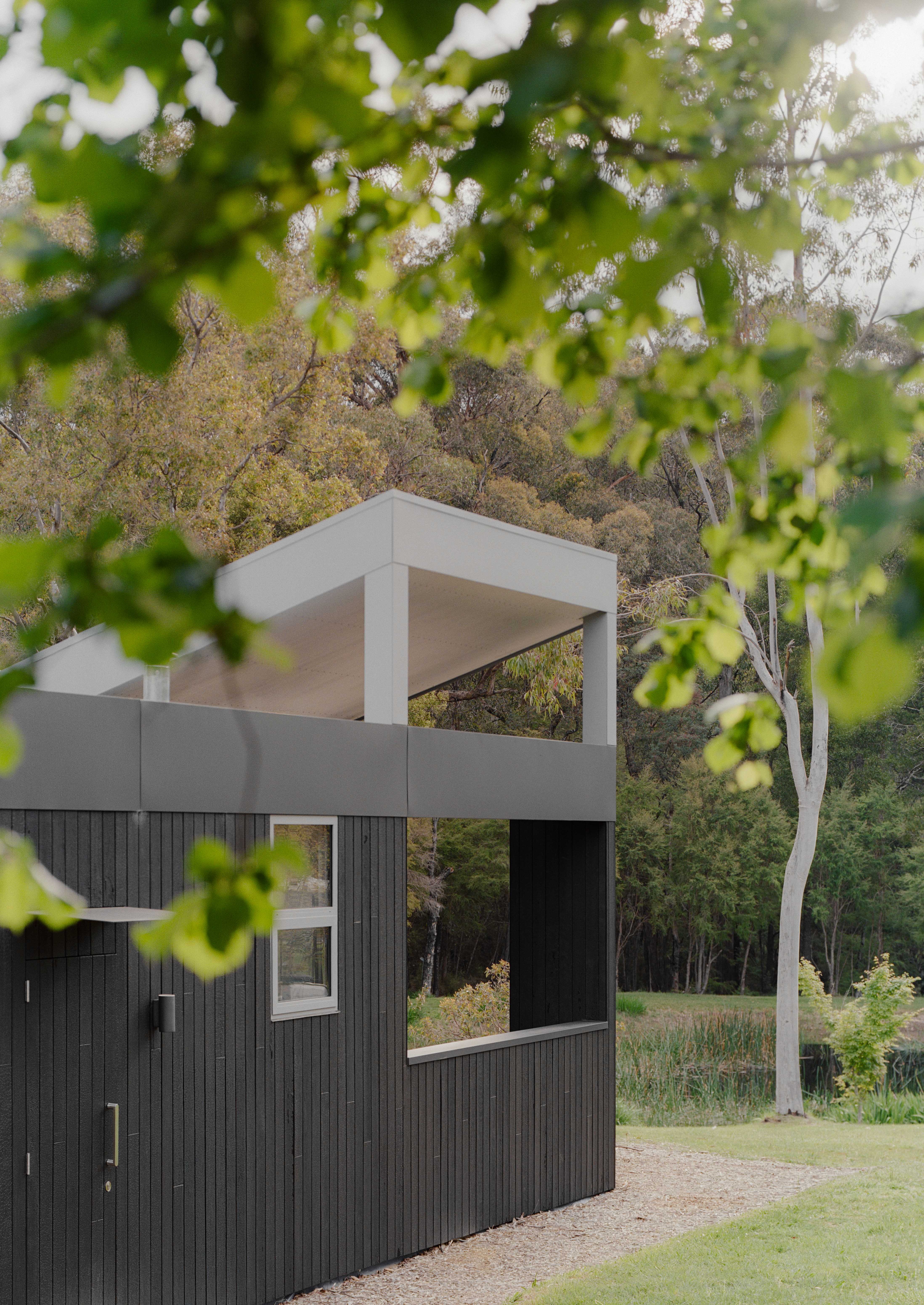 Project - Main Image