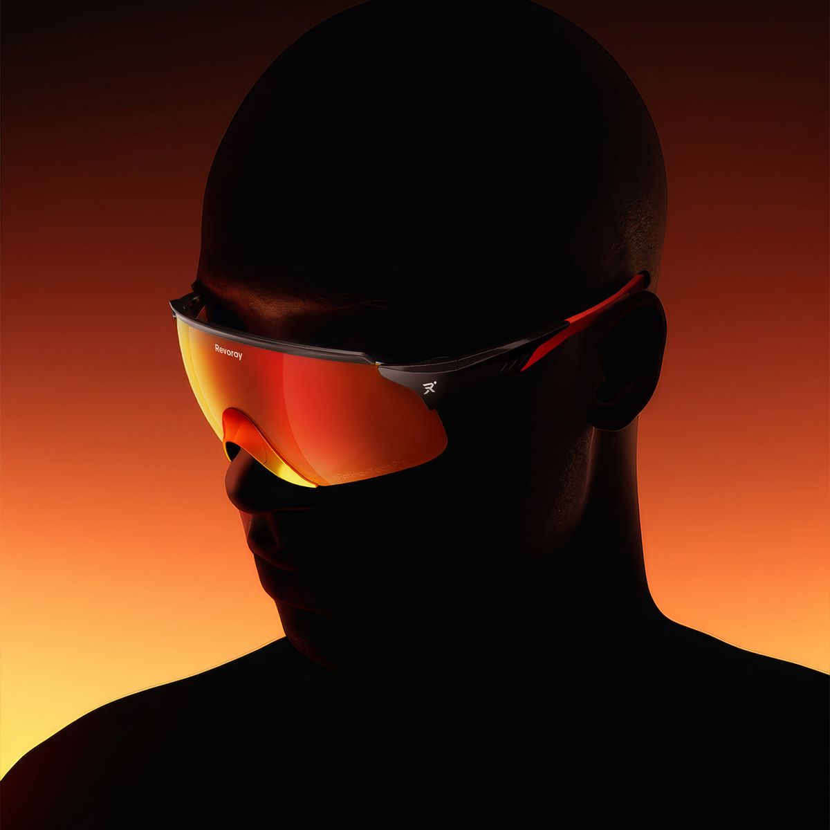 immersive exhibitions