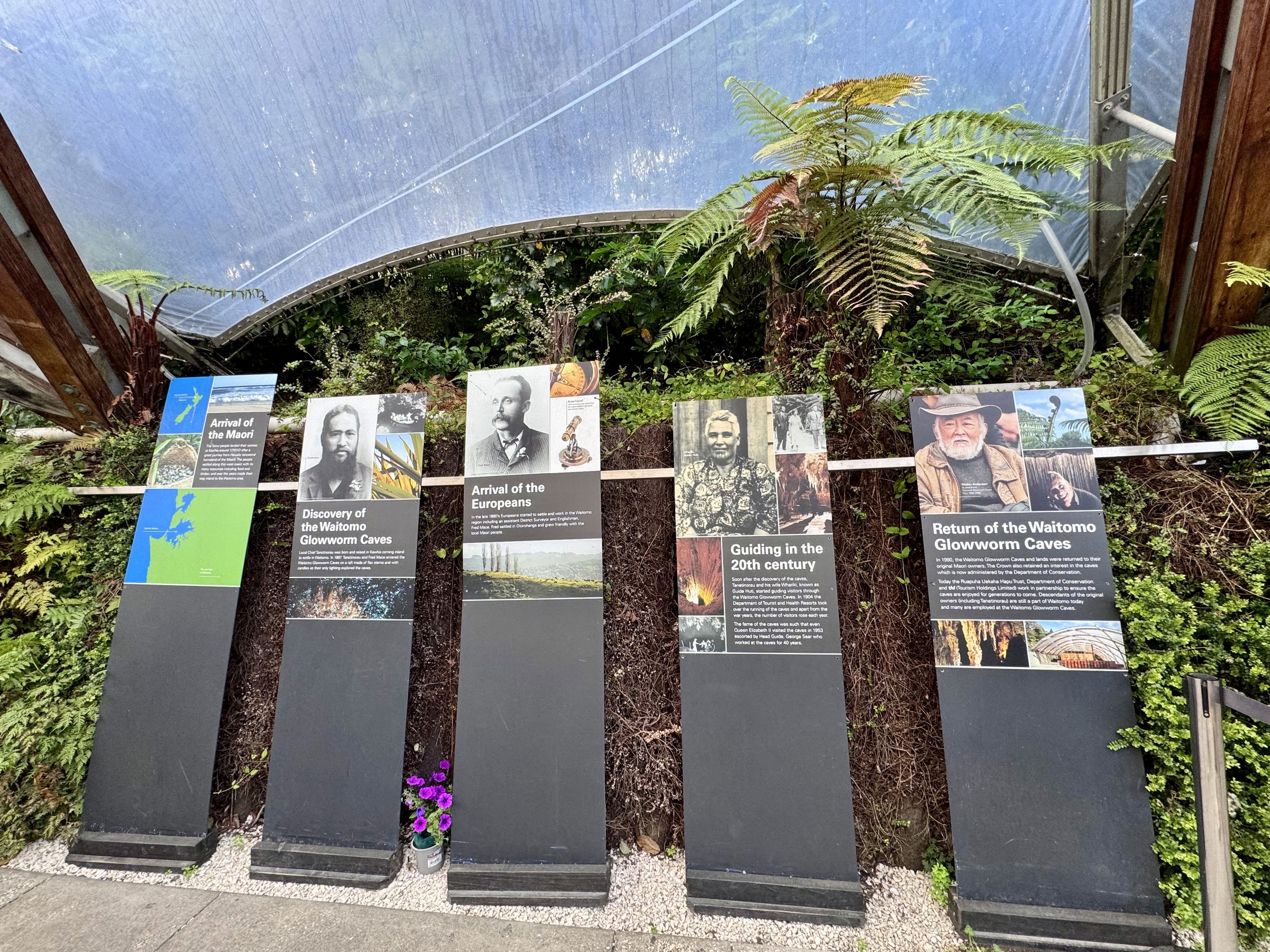 The history of Waitomo Caves as exhibited in the Visitor Centre