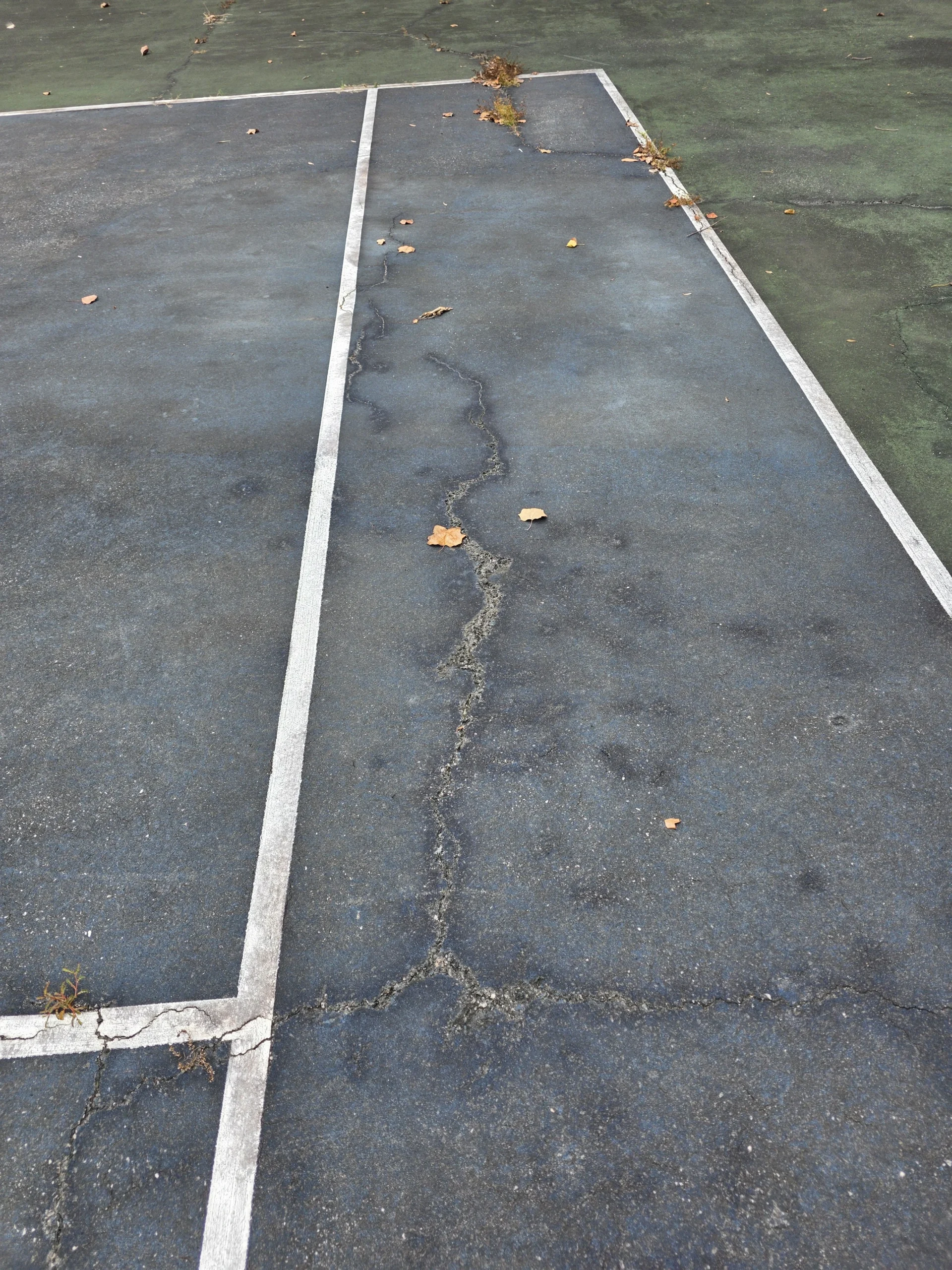 Close-up of seam cracking with weeds growing through worn asphalt tennis court in Fort Mitchell, AL