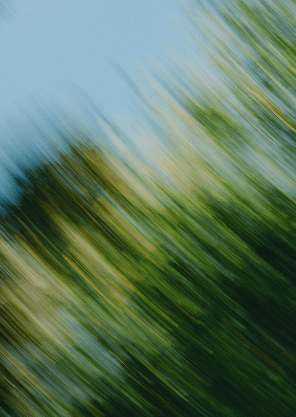 Blurred background with nature