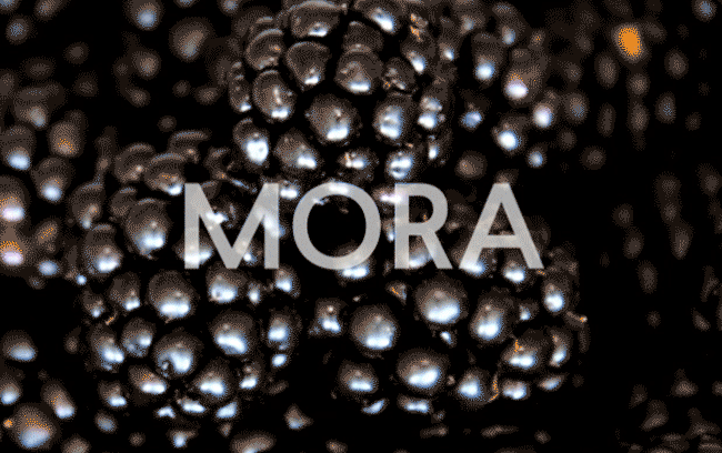 Aroma oriental dulce del perfume de mujer In Love Passion