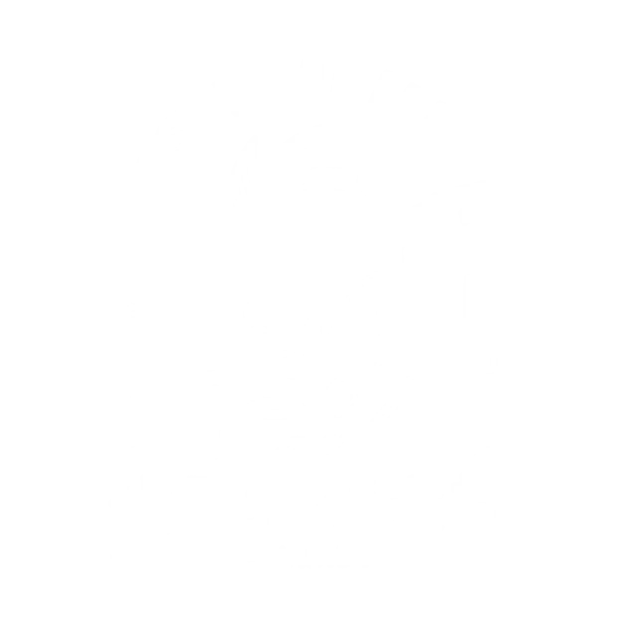project img