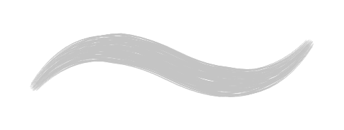 Round Bristle