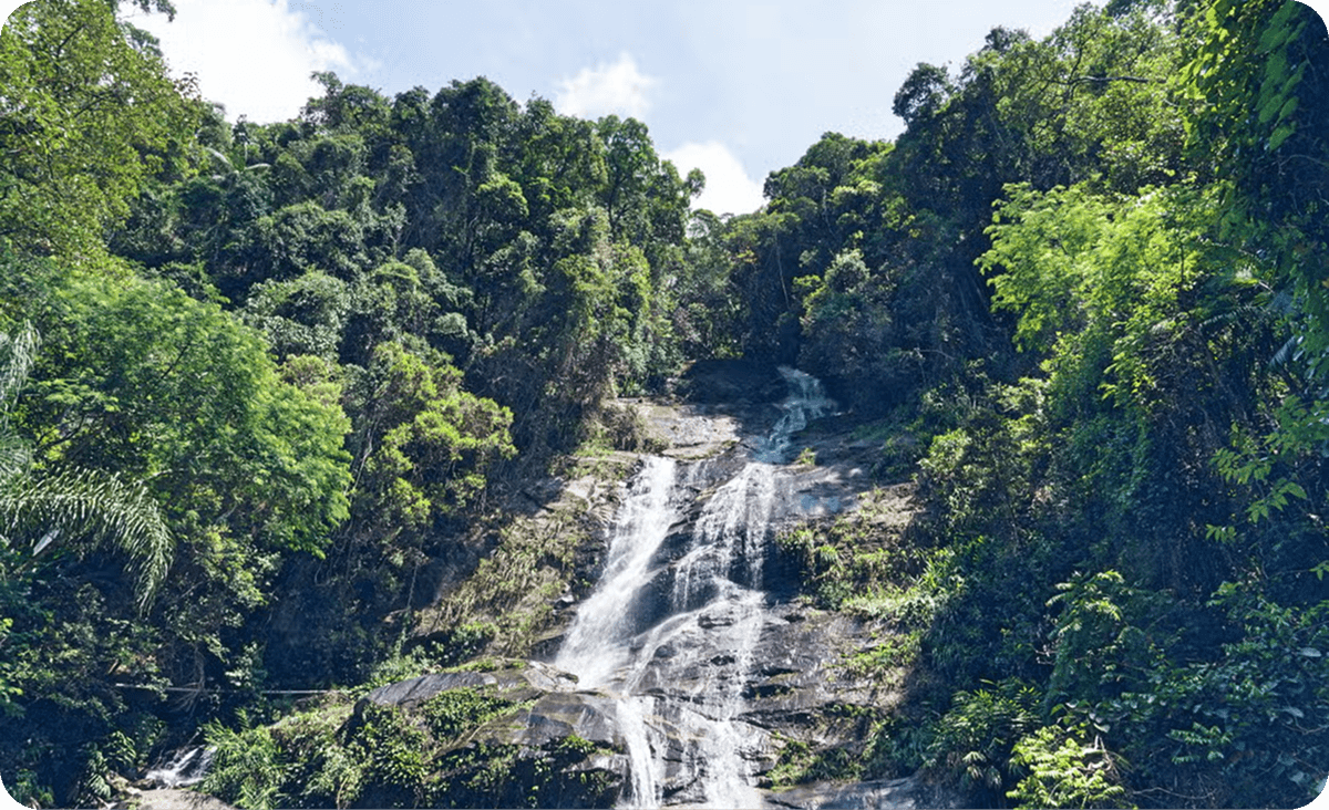 Senderismo por las cascadas y cuevas del Parque Nacional de Tijuca