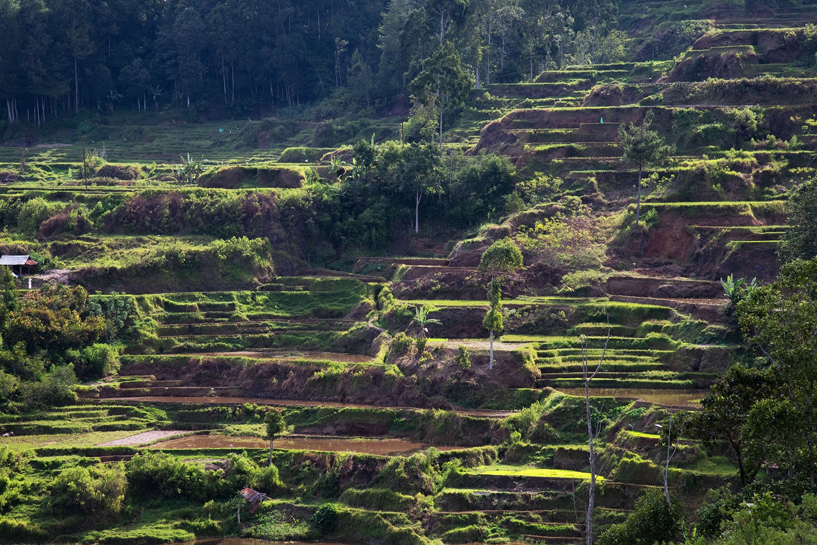 a blurry photo of a person standing in front of a wall