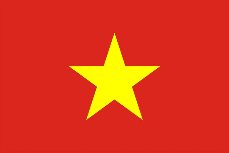 The Vietnamese Flag