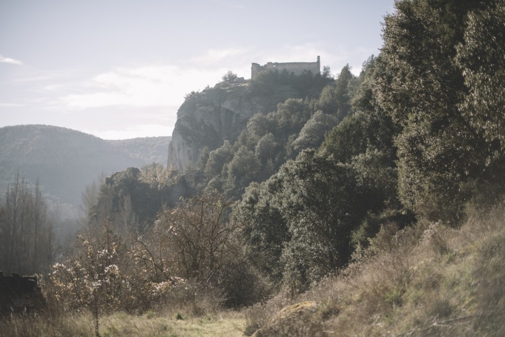 Magia y Épica en la literatura medieval: el poema de Fernán González.