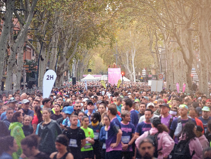 Des coureurs sur une rue bordée d'arbres au début d'une course urbaine.