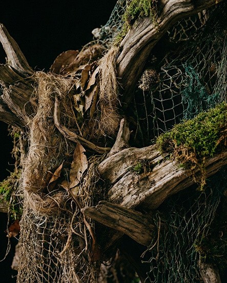 Биеннале 2026 в Венеции