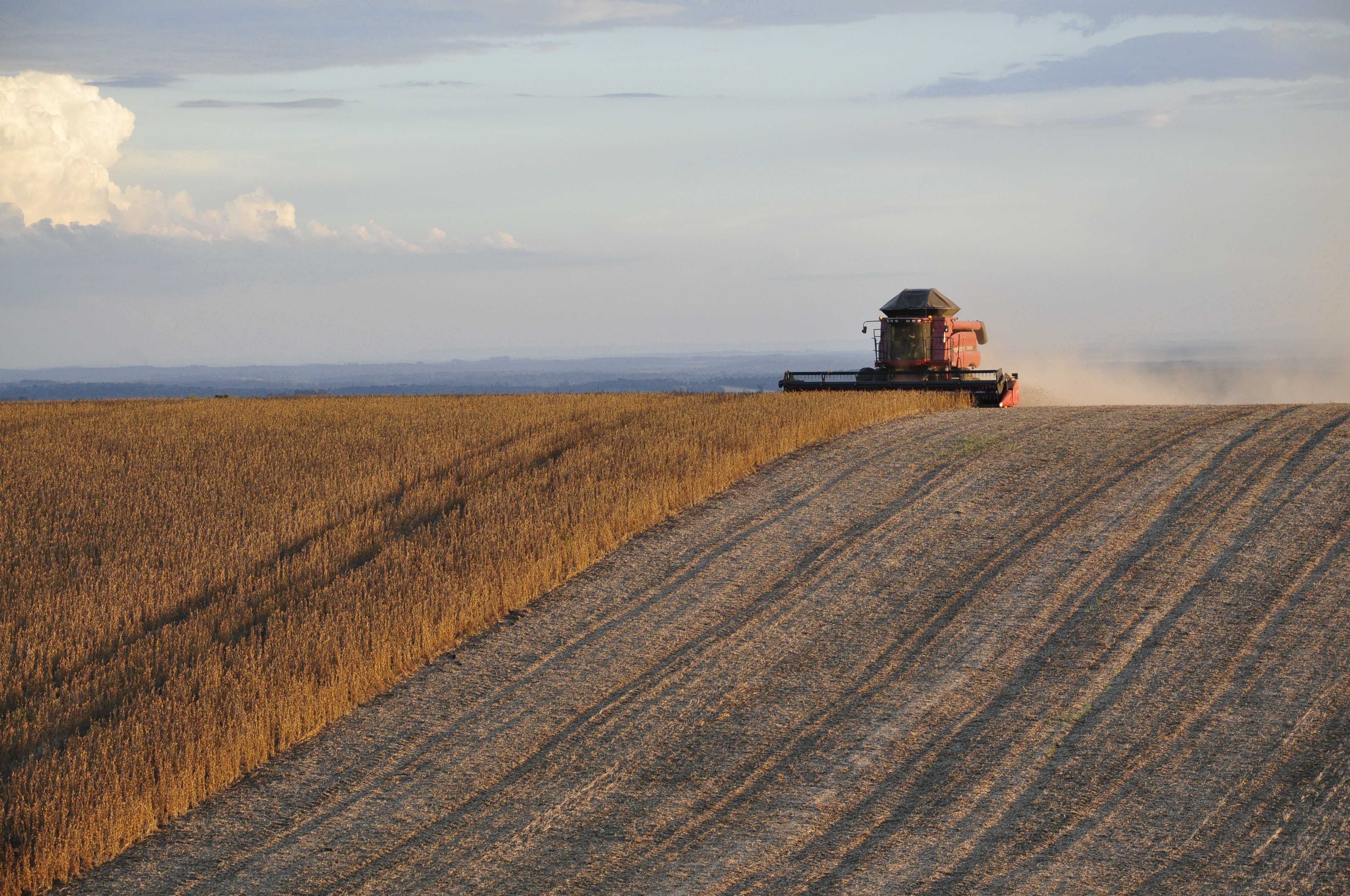 machine harvesting crop