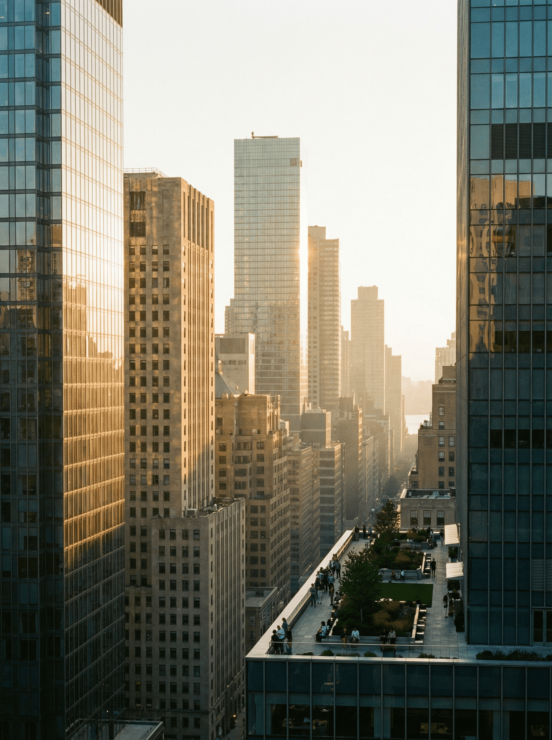 Aerial view of a winding road surrounded by dense green and yellow trees, showcasing nature’s vibrant colors.