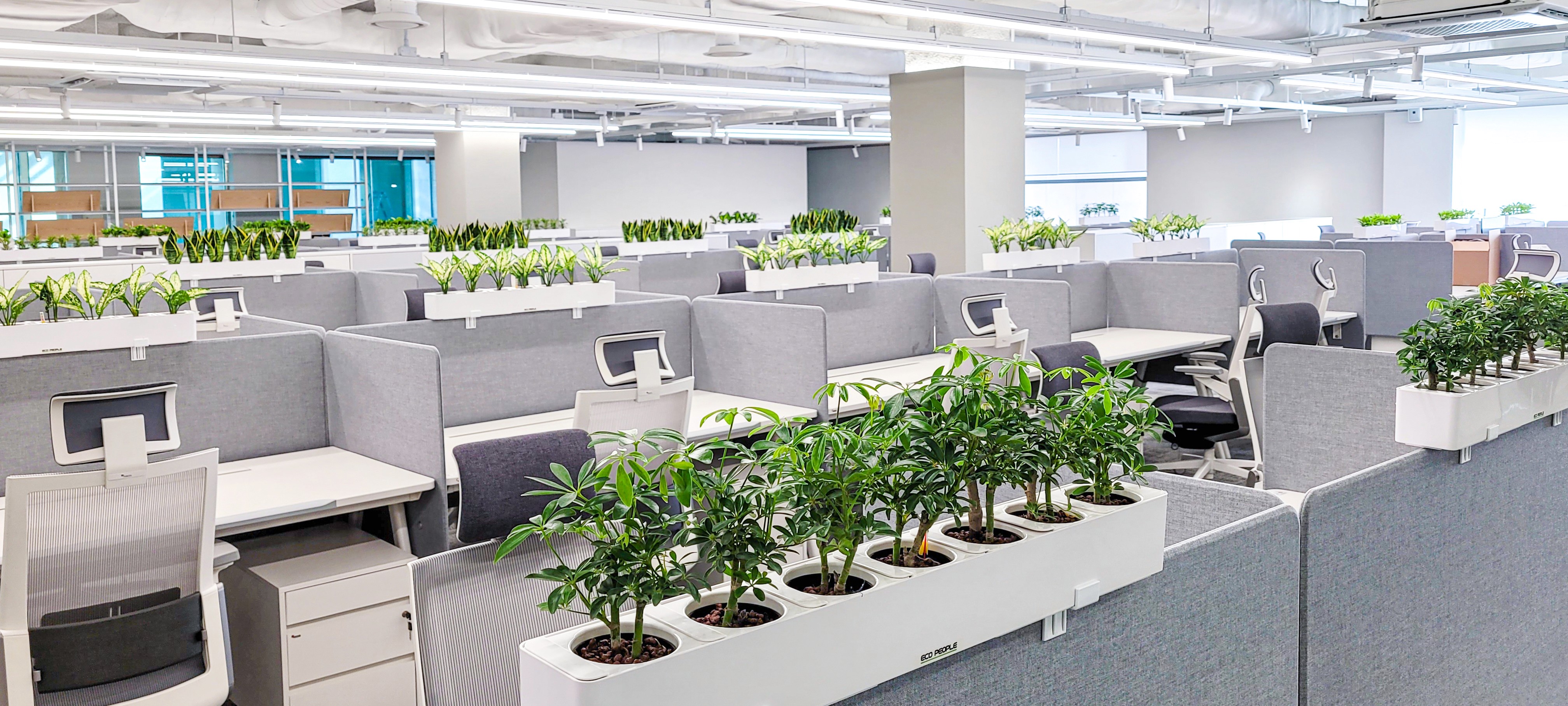홍콩야자, 스노우스파이어 등의 수경식물을 탑재한 에코팟이 오피스에 배치되었다