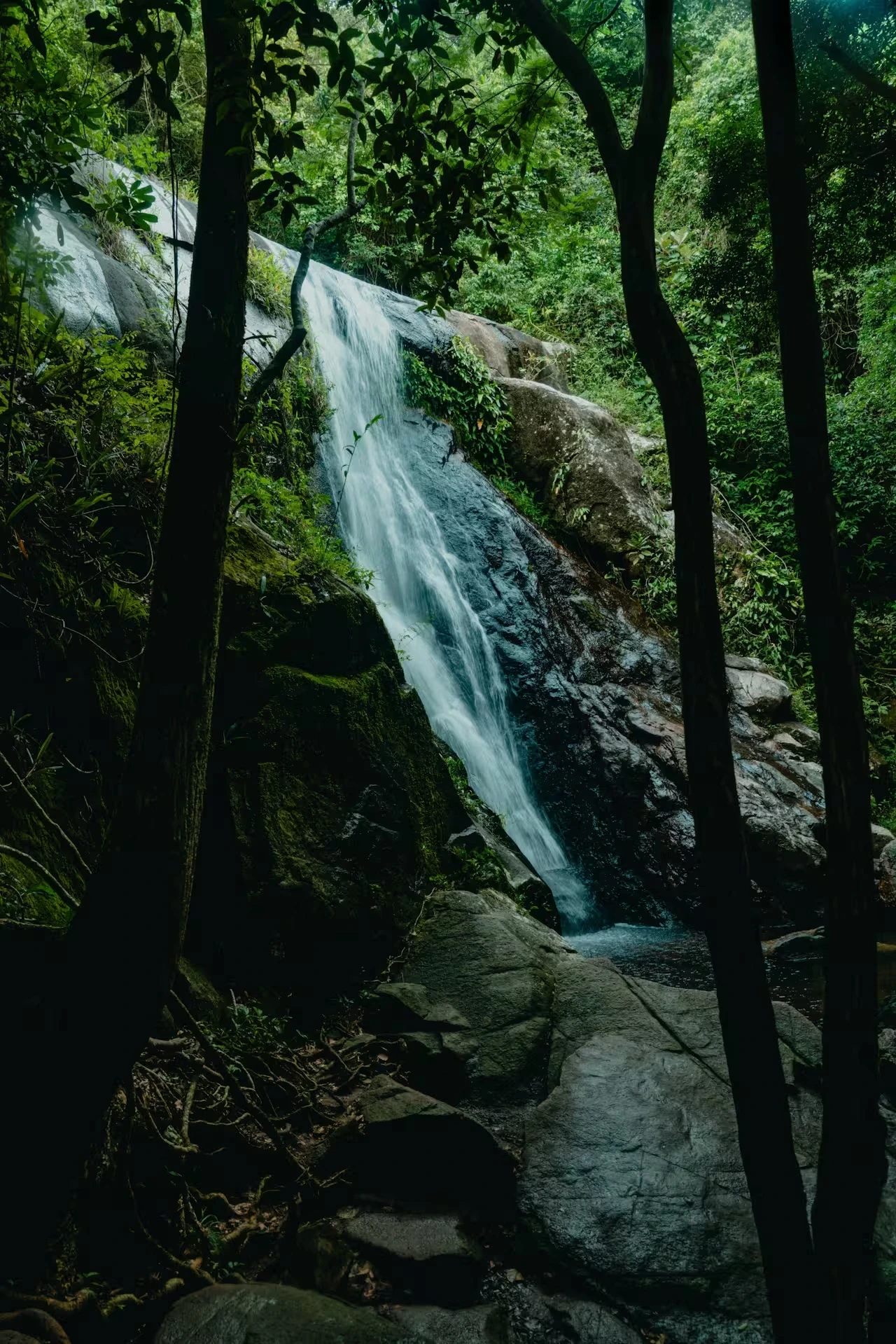 A waterfall cascades over dark rocks through dense tropical forest foliage.