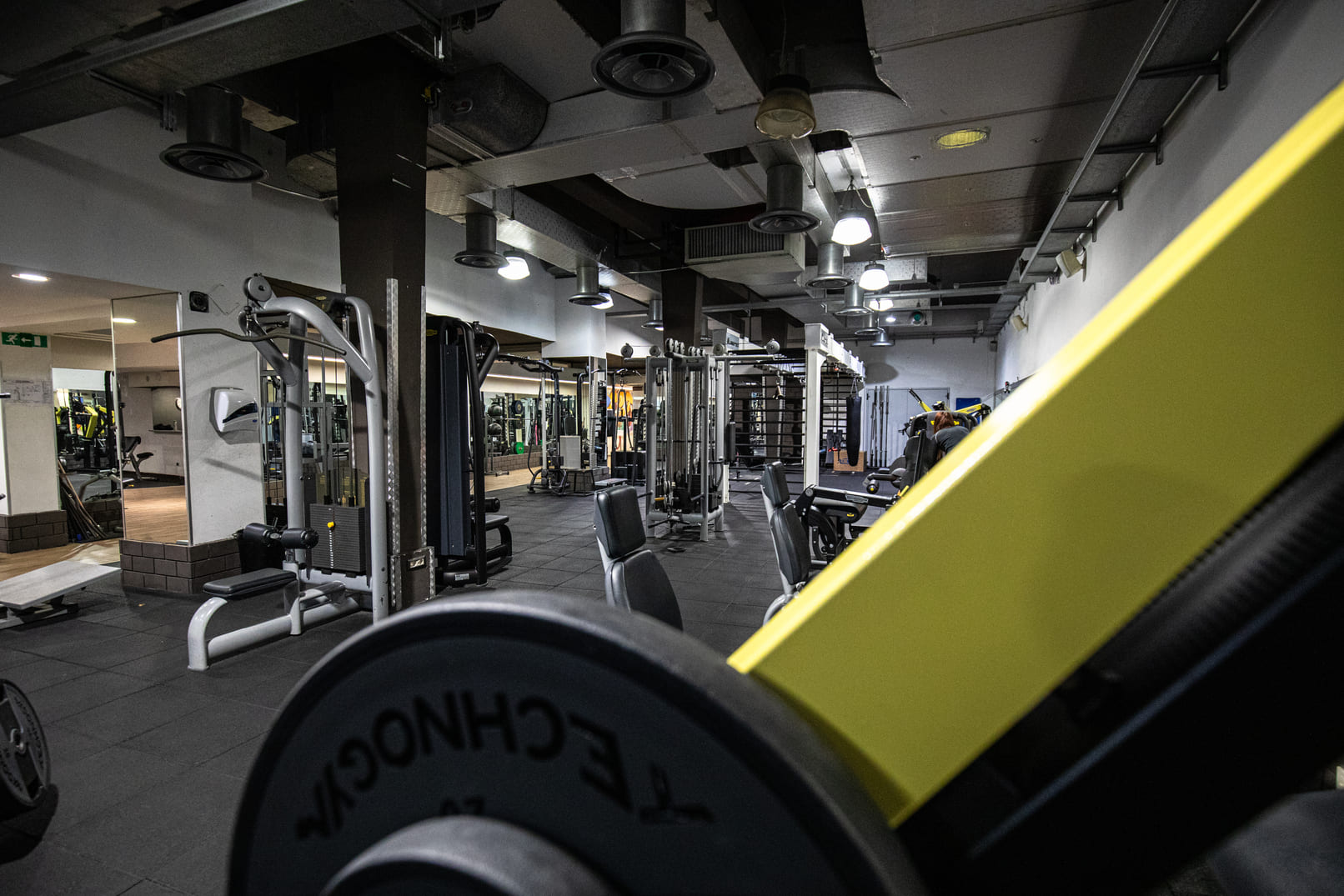 Sala pesi cardio attrezzature Technogym palestra Freetime Monteverde