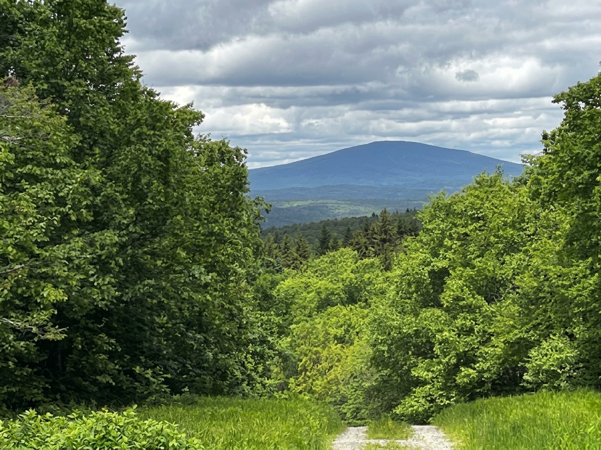 View of Prospect Mountain from a hiking trail in Woodford, Vermont