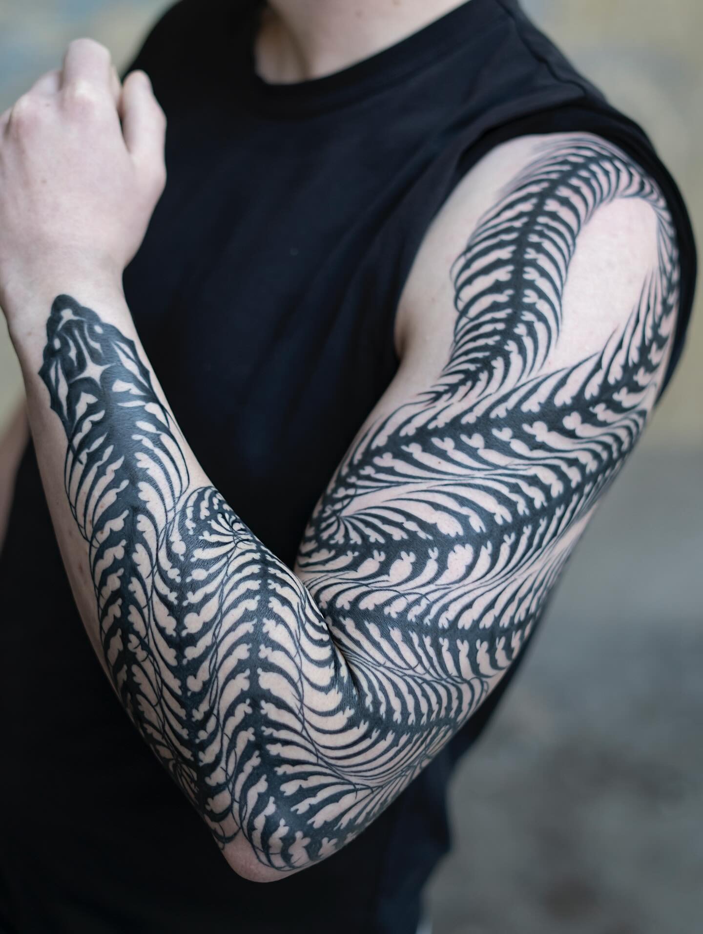 The image featured in the middle of the about us page