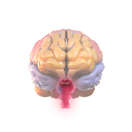 What Are Brainwaves & How to Read a Brain Map | Myndlift