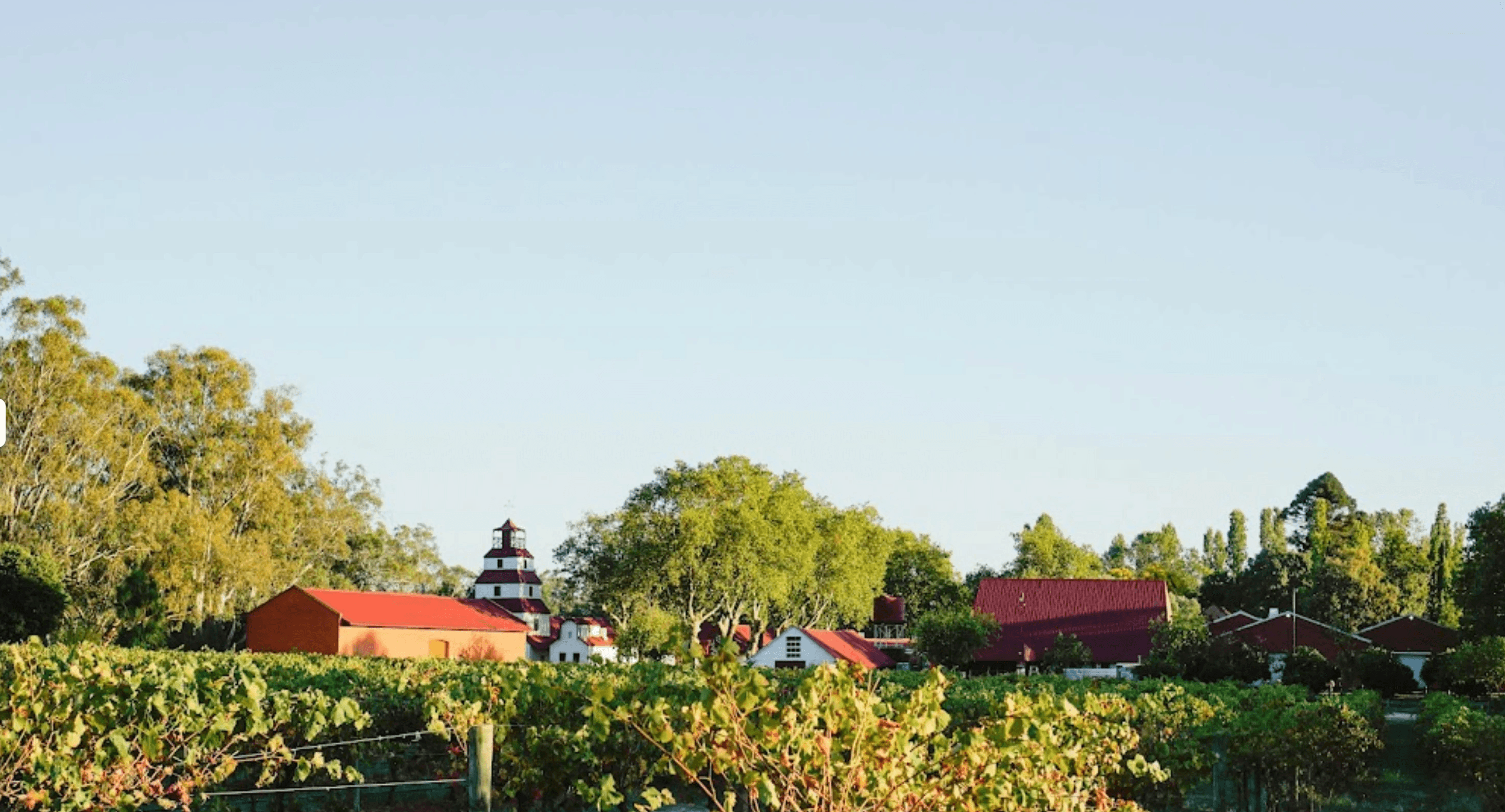 Tahbilk Winery VIC