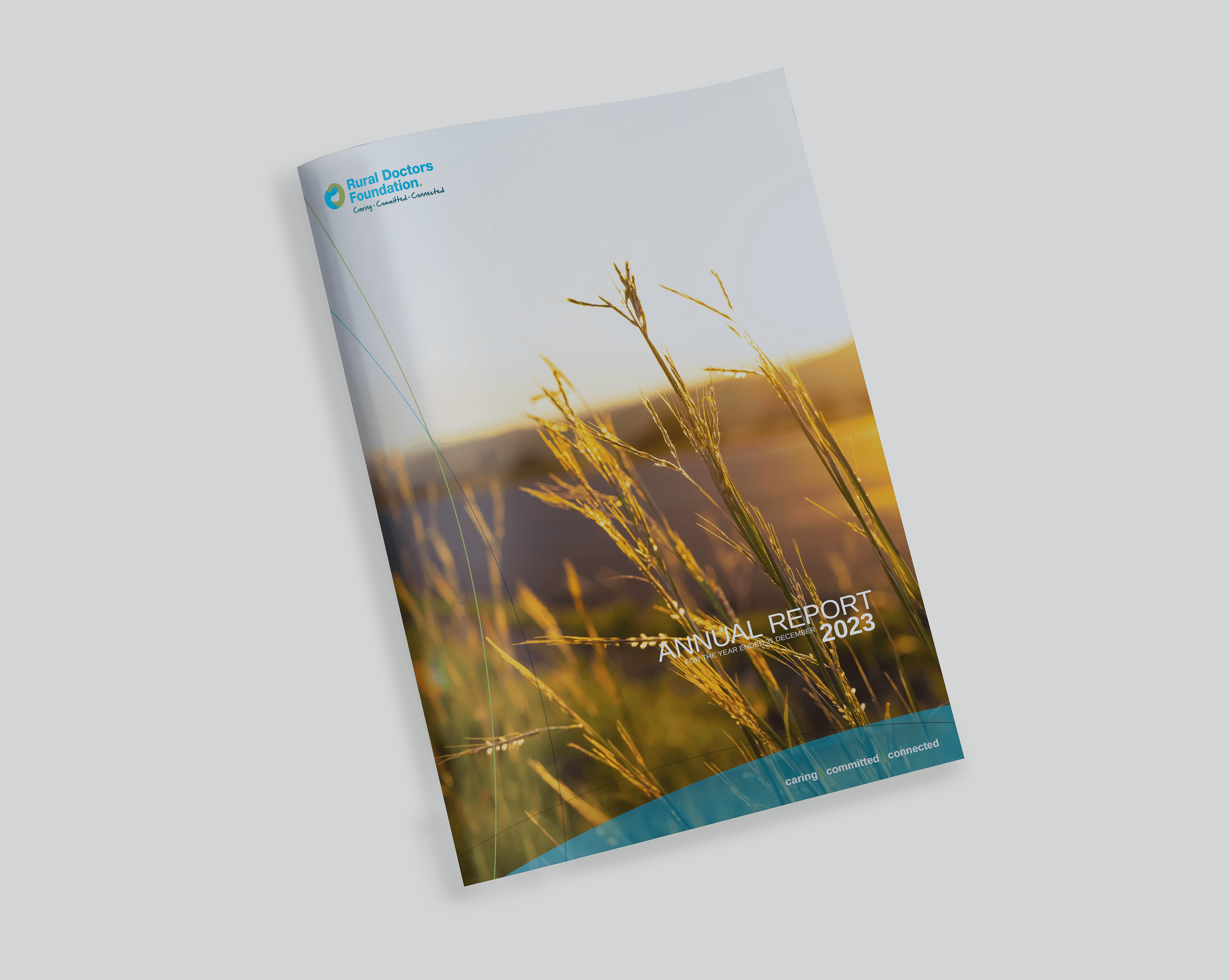 Image of an annual report