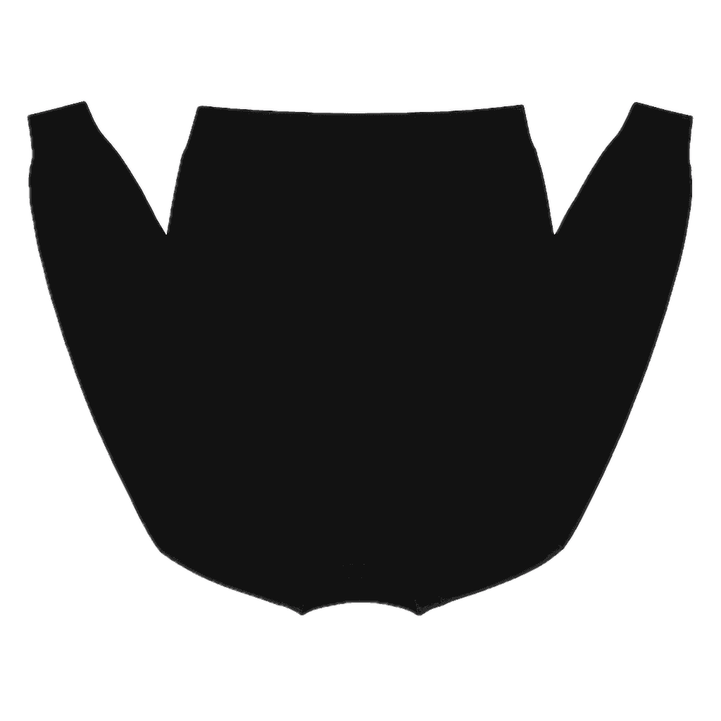 SW-2 back