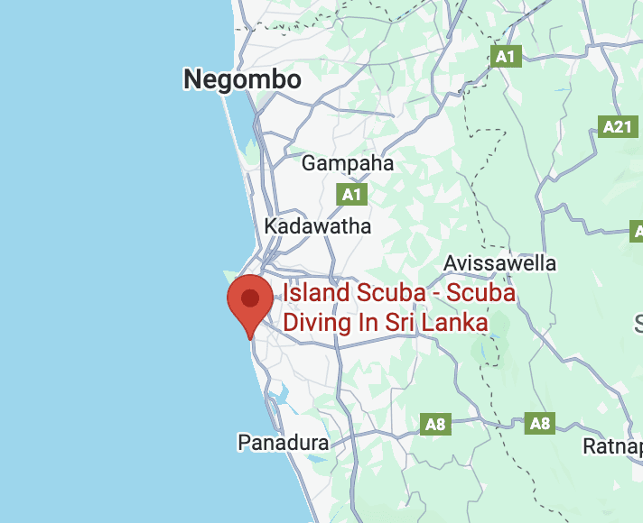 island scuba scuba diving shop in sri lanka location