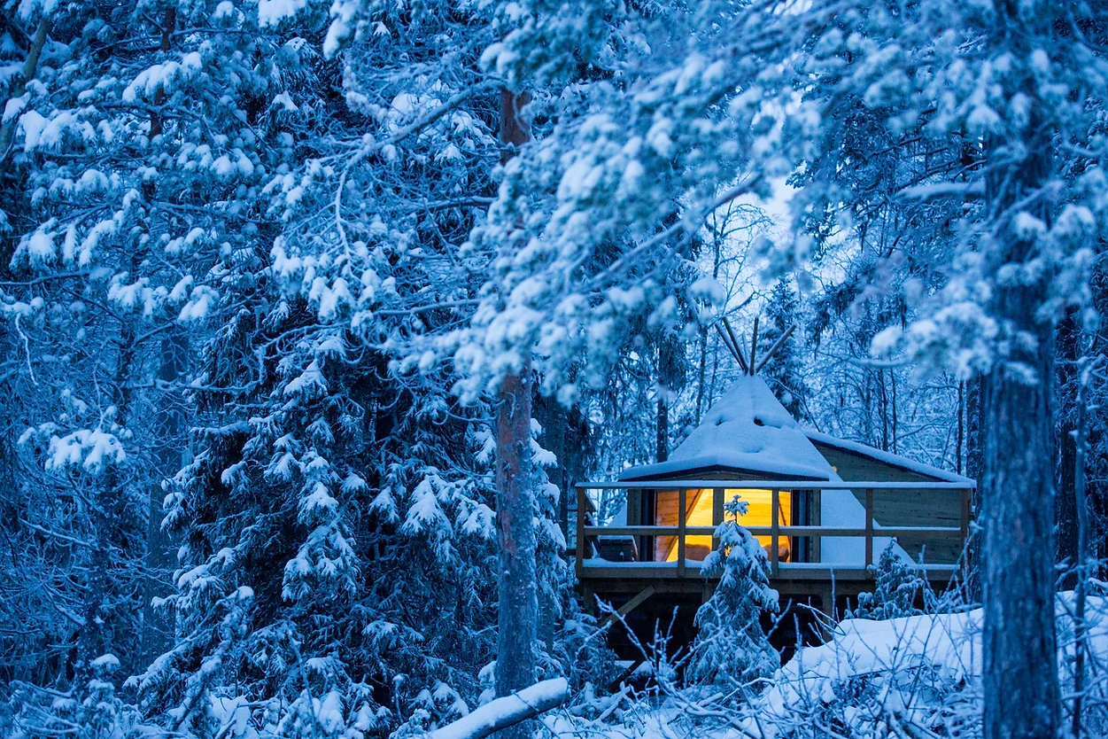 Aurora Glamping and Arctic Wellness in Sweden