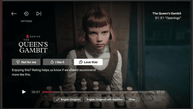 Netflix voice of customer example