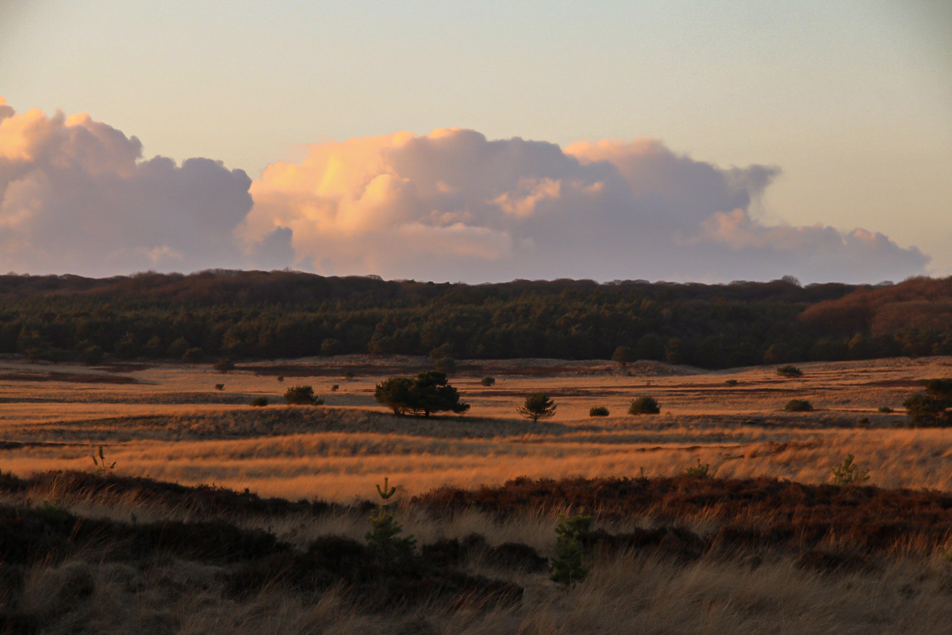 Foto van Hoog Soeren Zonsondergang en Heide