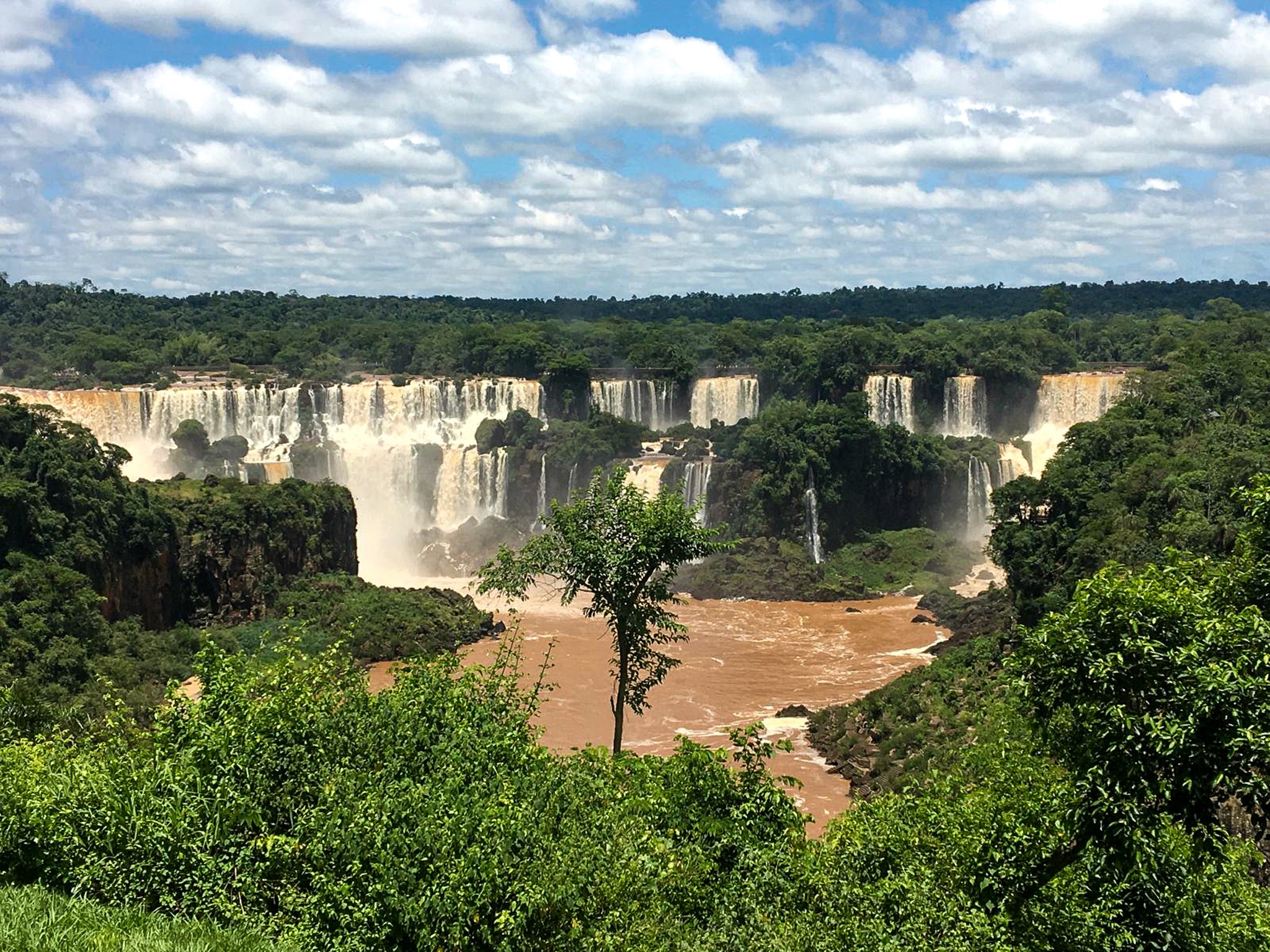 Artificial Intelligence (AI)