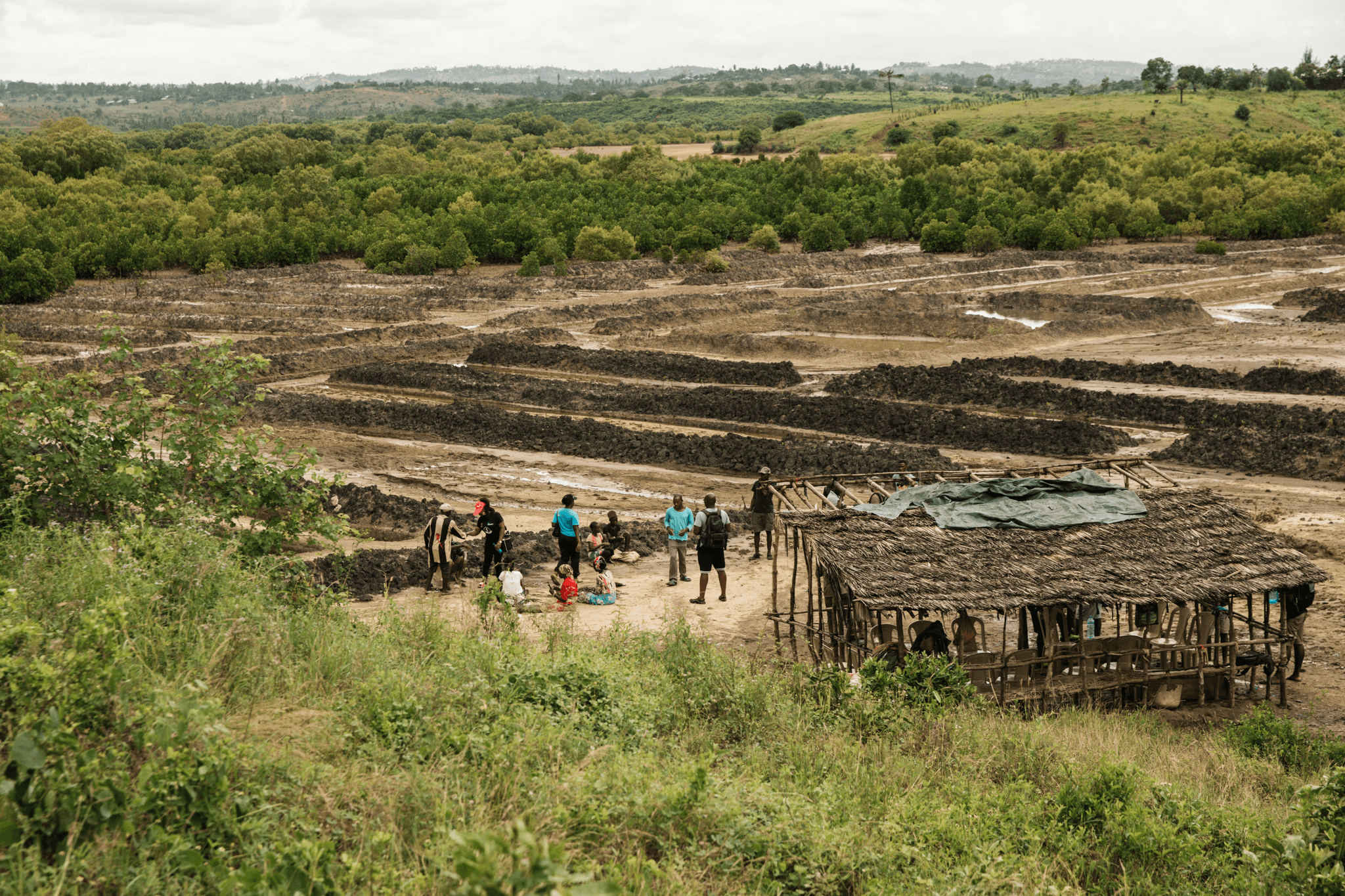 Een panoramisch uitzicht op een terrasvormige plantlocatie in een weelderig groen landschap met een groep mensen aan het werk, die bunq's herbebossingslocaties in Kenia en Madagaskar vertegenwoordigt.