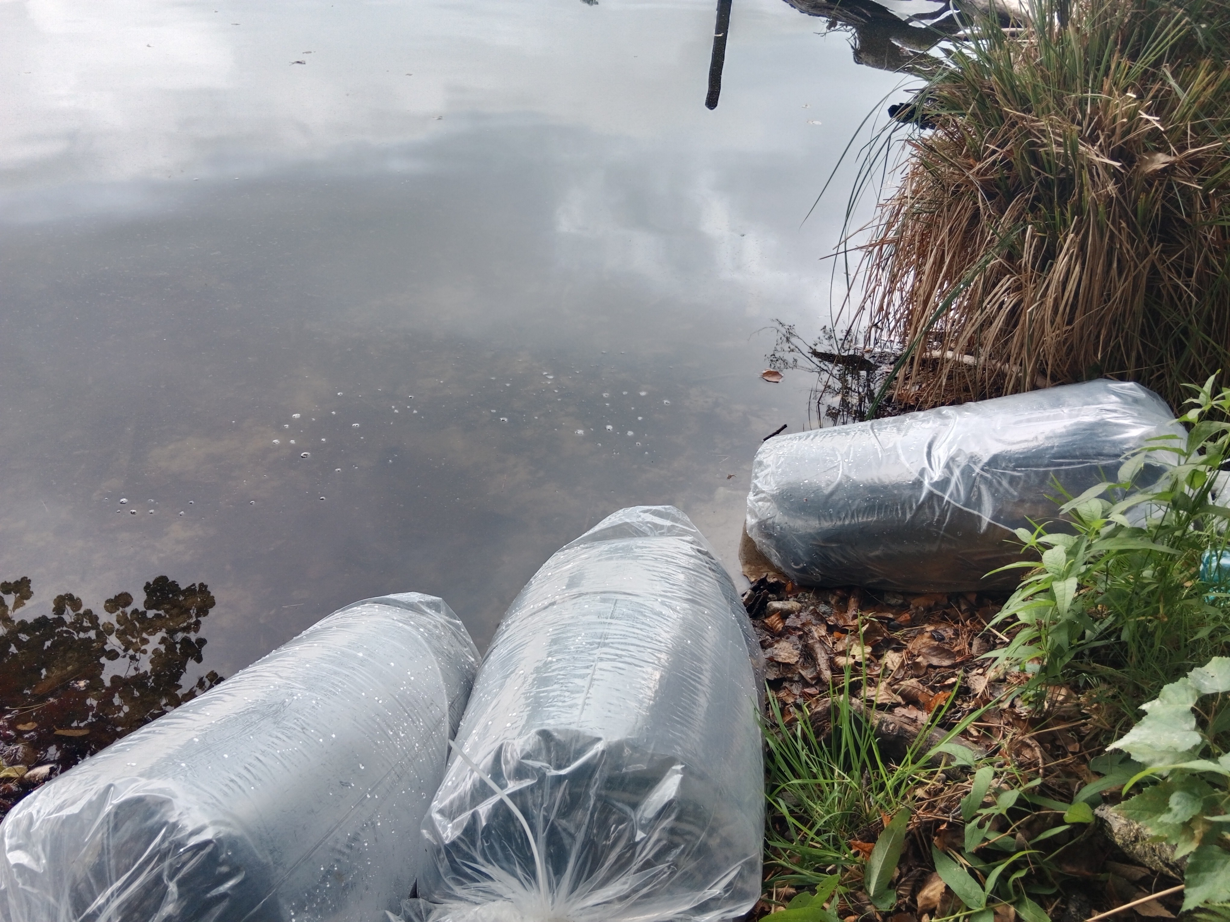 project management design