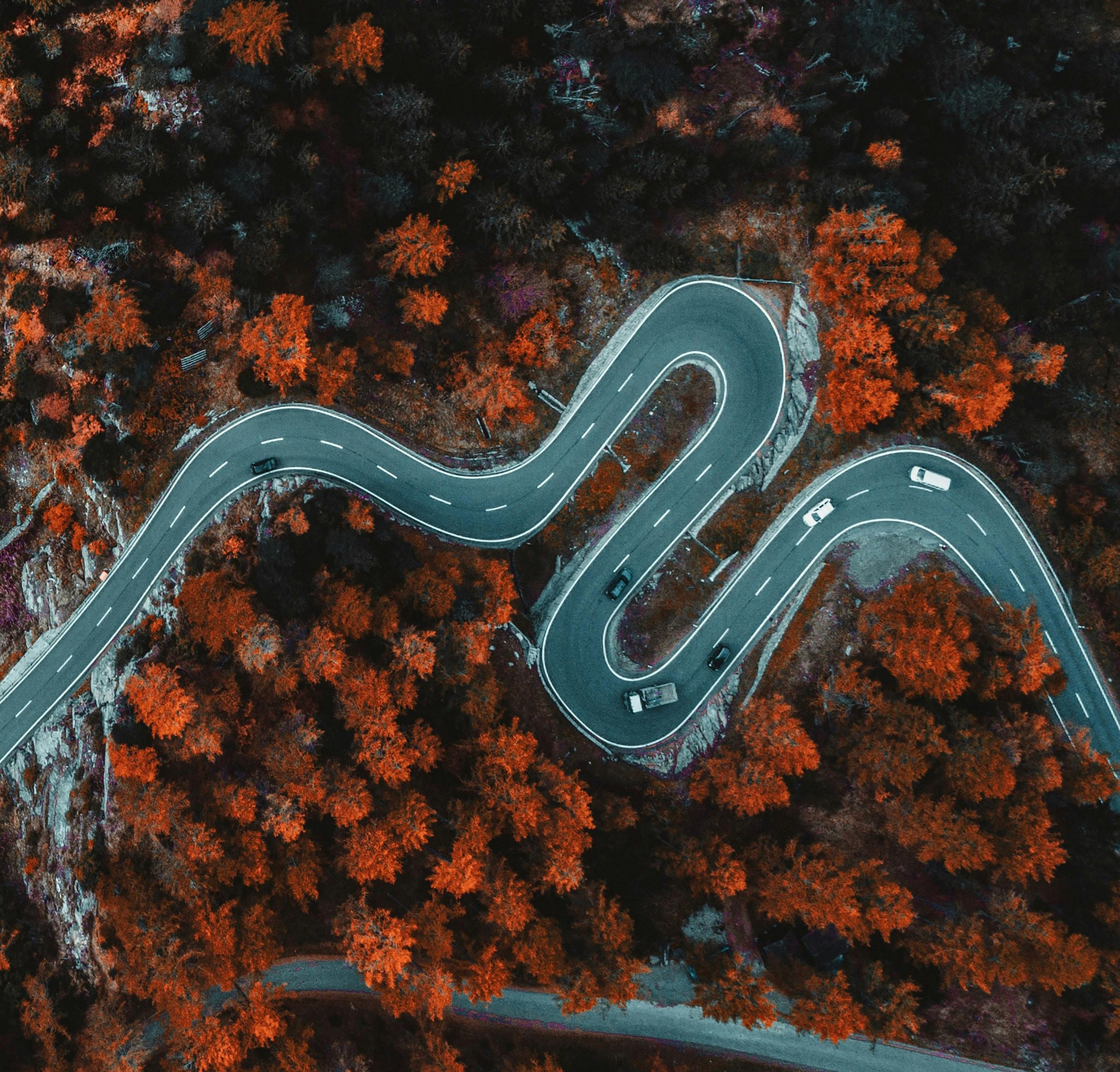 Road to success has many bends