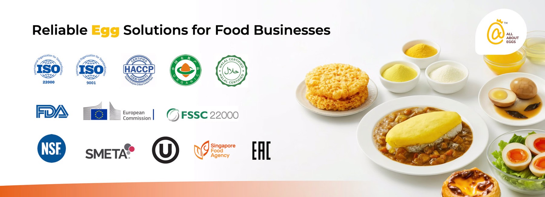 Reliable egg solutions for food businesses