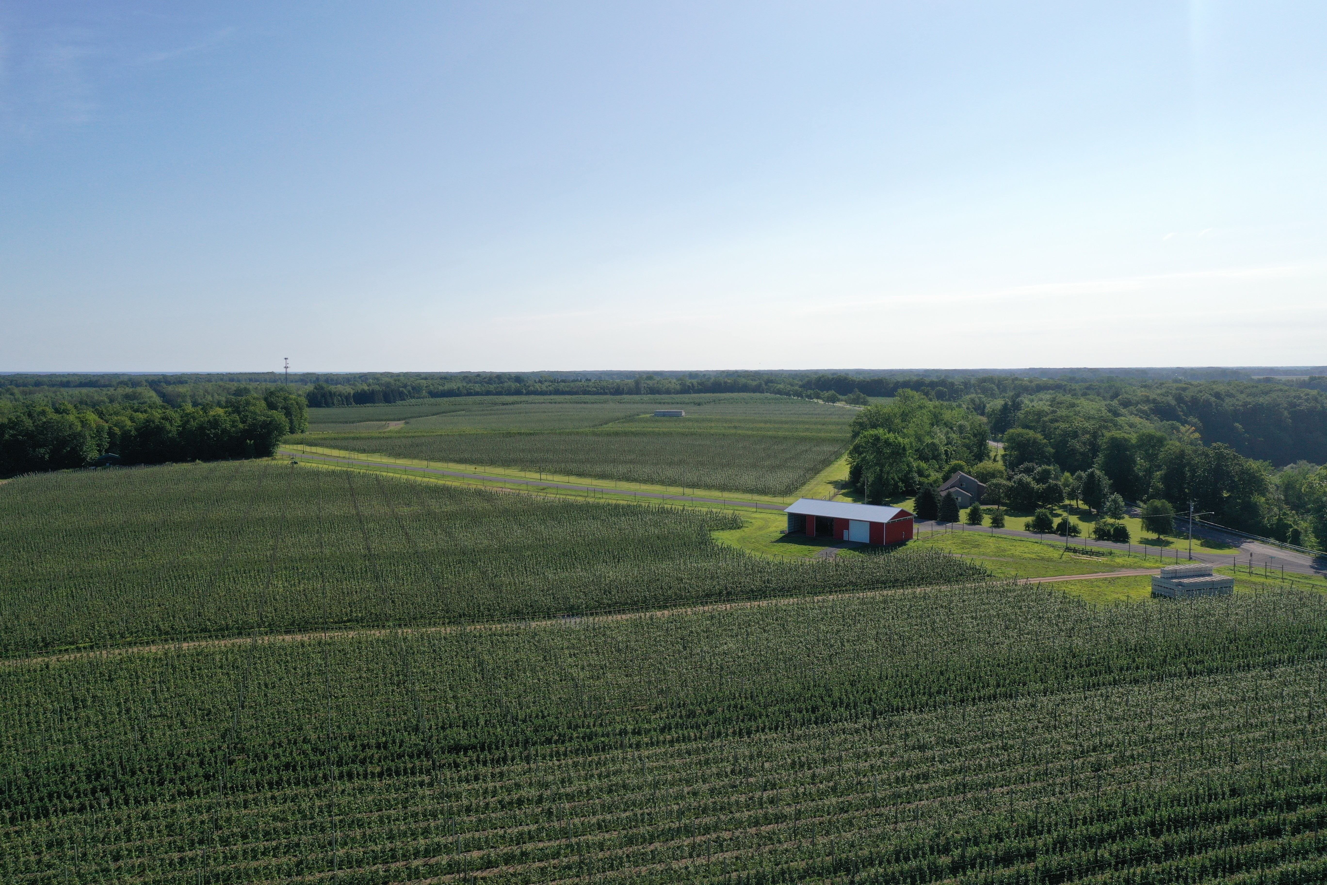 orchard-dale-areial-view