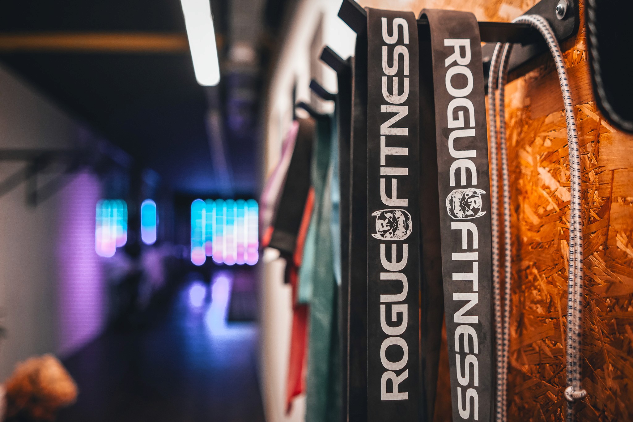 Rogue Fitness Trainings Equiptment im Force Buchs