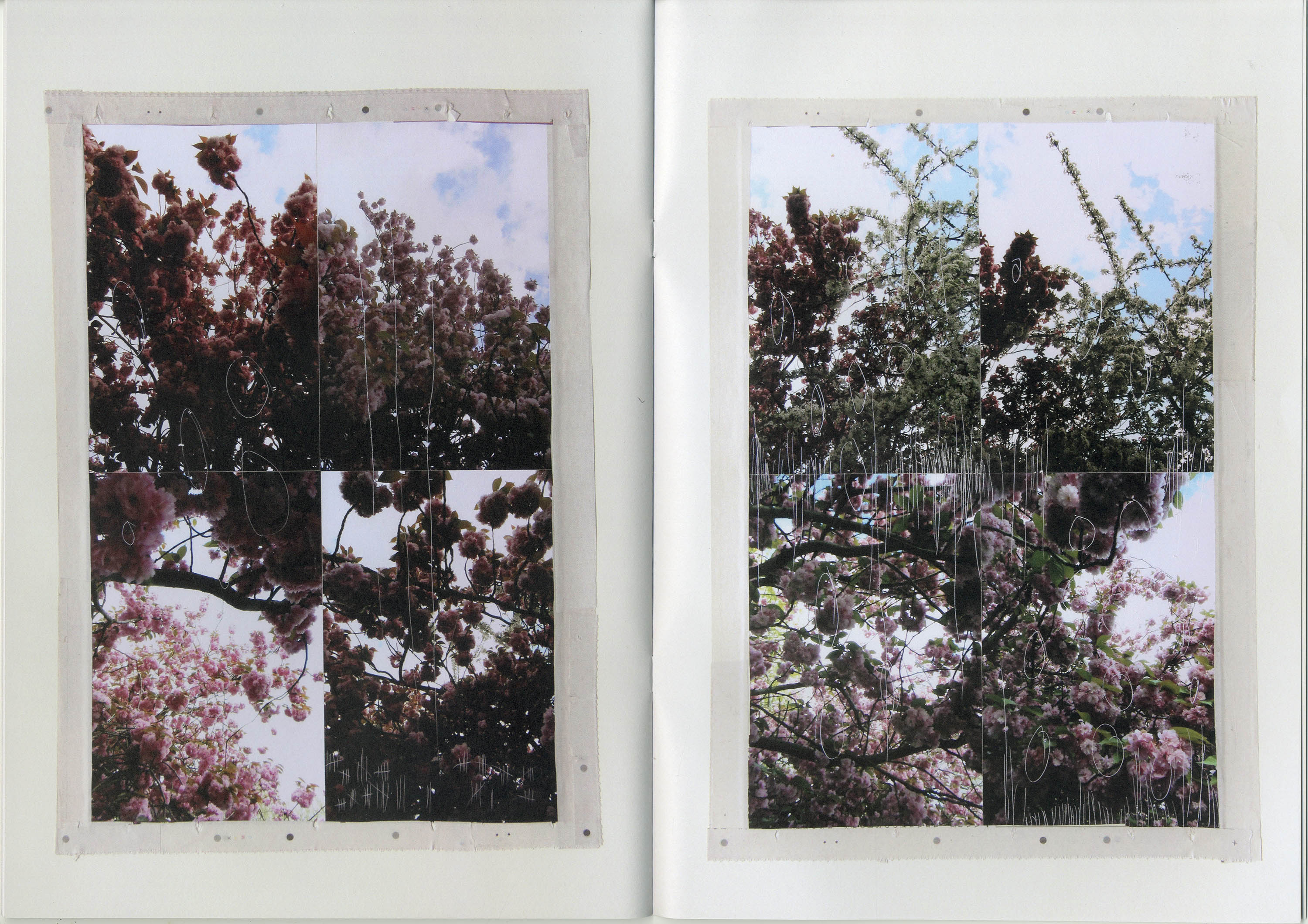 Nicholas Cheveldave publication Some Kind Of Life 3