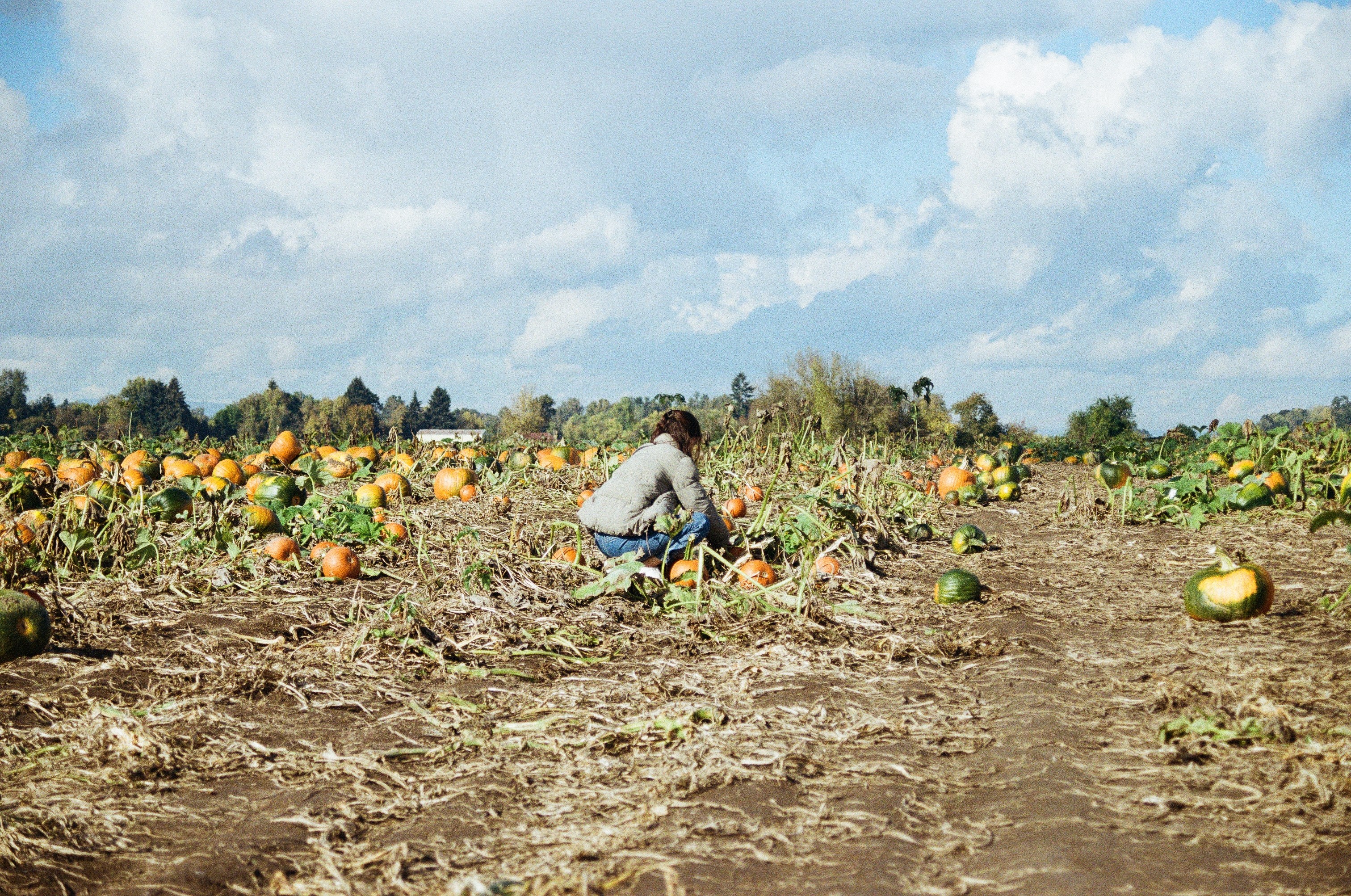 White ceramic mug floating against a lilac background, printed with a small purple-pink gradient pill logo and the word “Circular” in matching lilac type.