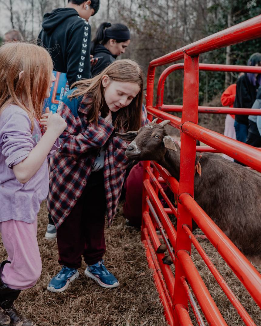 A child meeting the animals at Christmas Fest