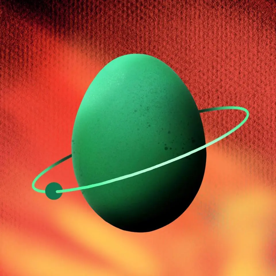 Immagine band - Age Of The Egg