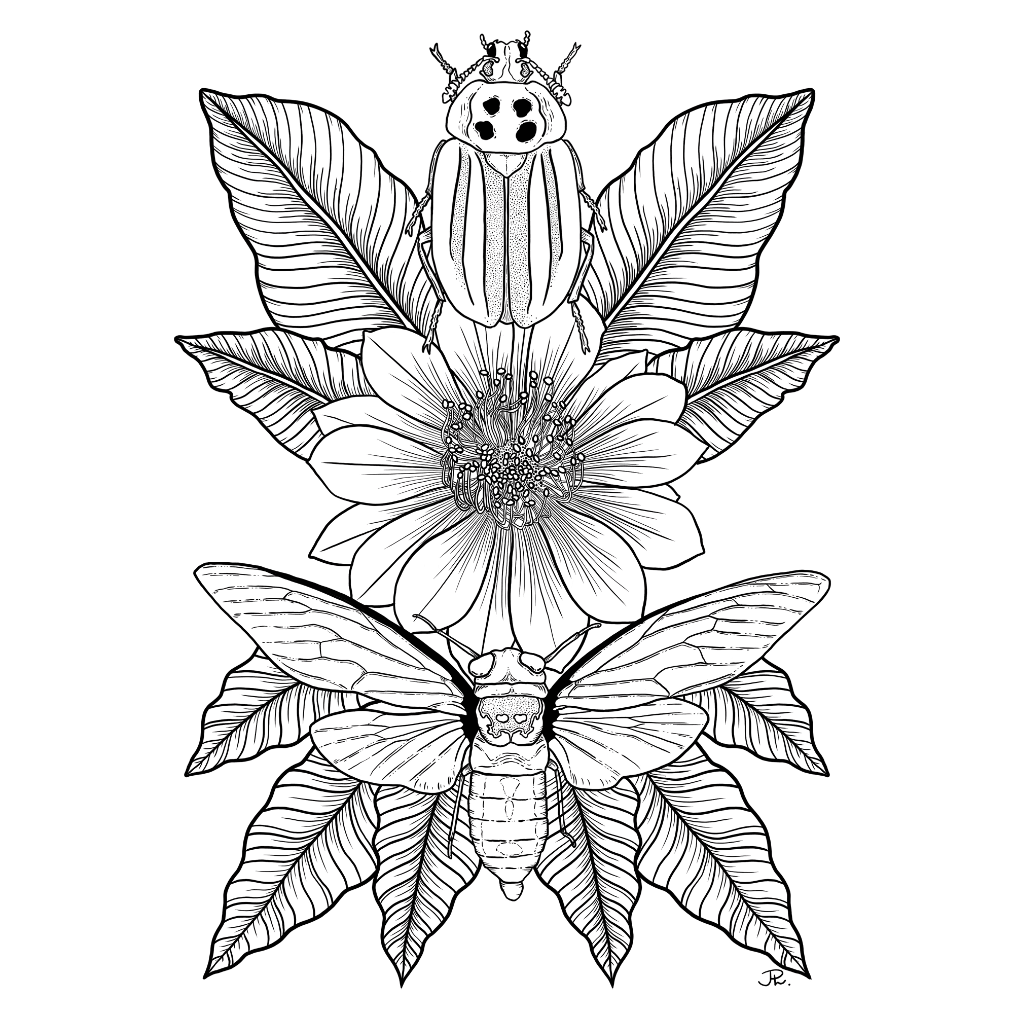 The image featured at the top of the about us page #2