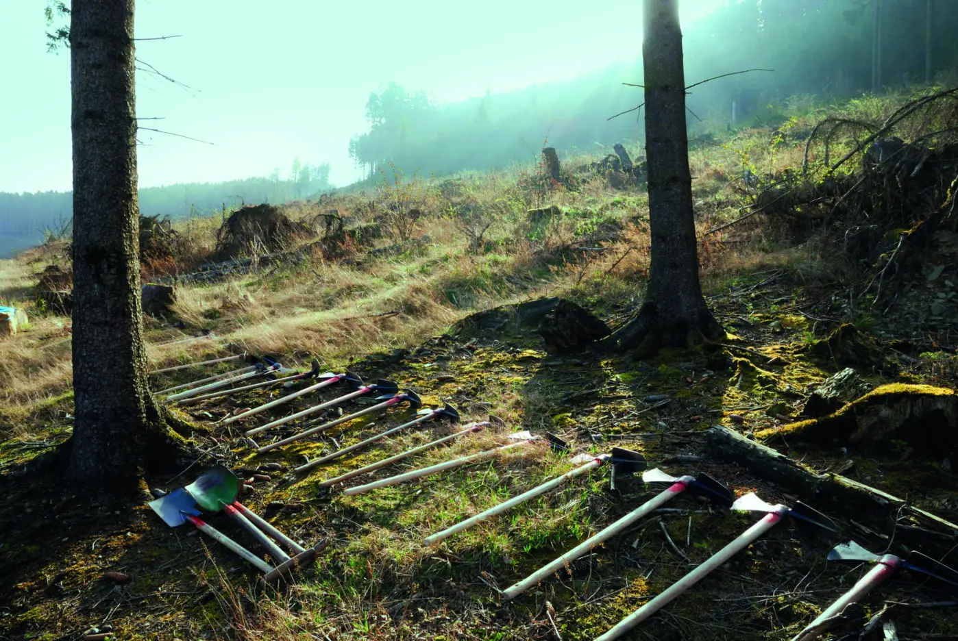 Forstwerkzeuge liegen auf einer zu entwickelnden Waldfläche in Deutschland