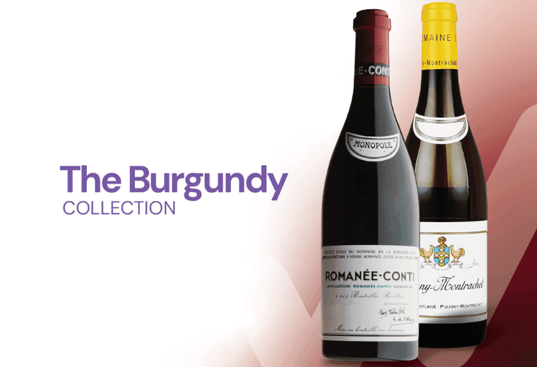 WineFi - The Burgundy Collection I