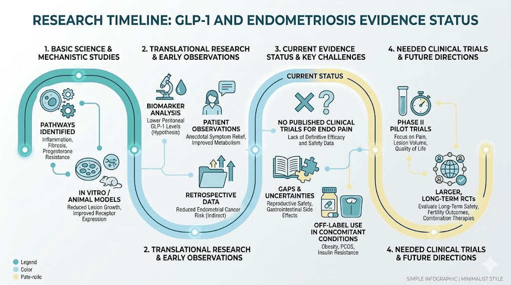 Research evidence timeline for GLP-1 receptor agonists and endometriosis treatment